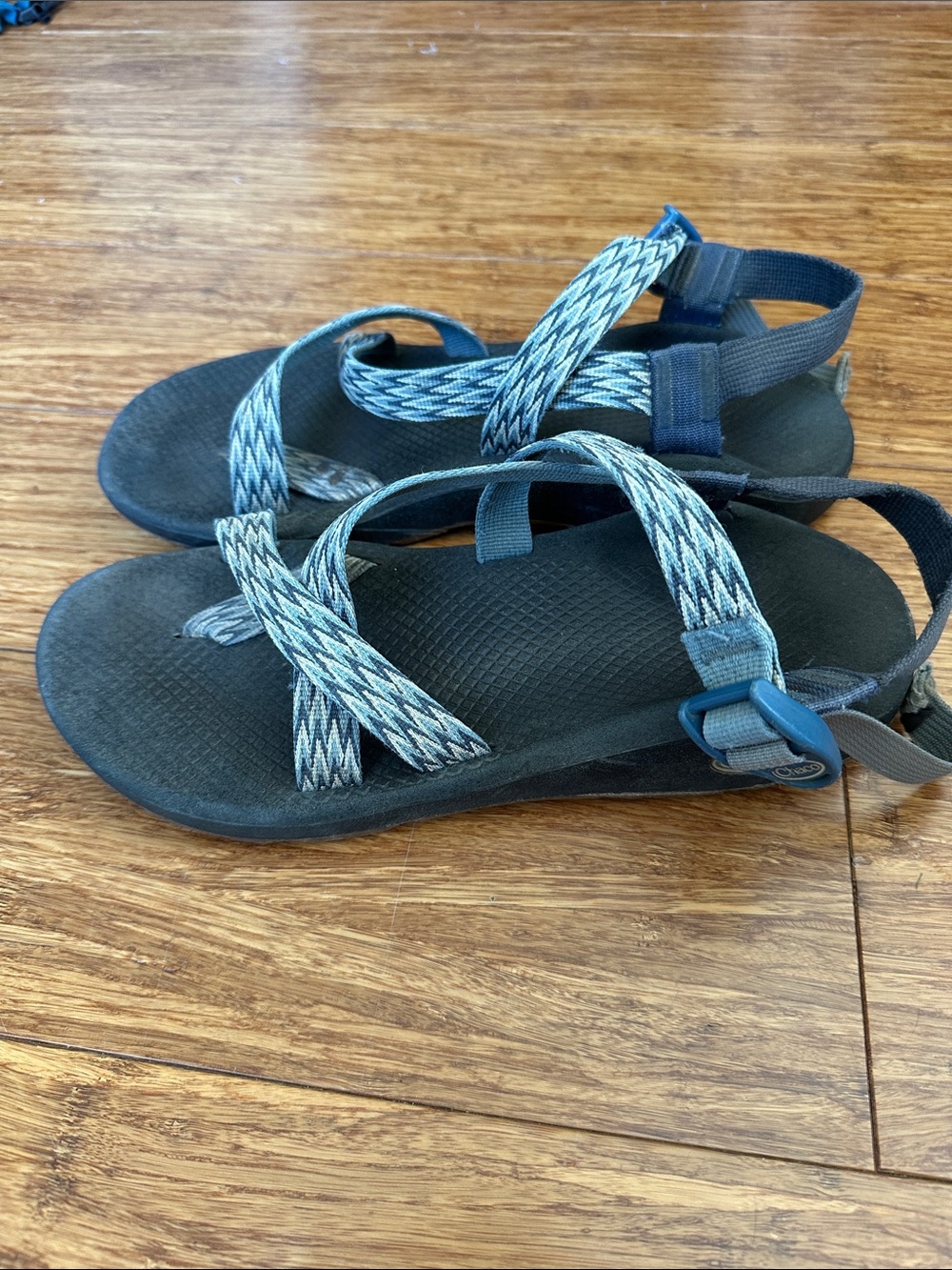 Chaco Blue Strappy Outdoor Sandals